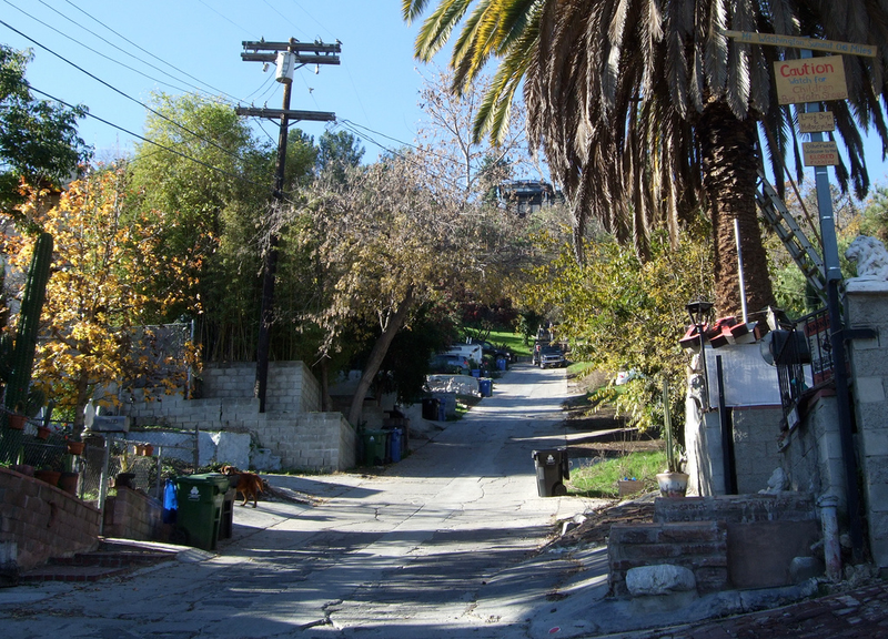 Illustration for article titled Tour the Nine Steepest Residential Streets in America